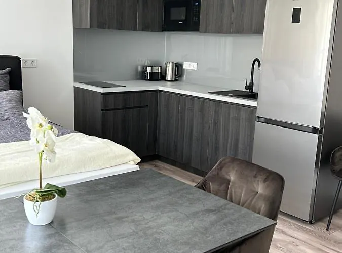 Bauhaus Dream Deluxe T Homestay Siofok