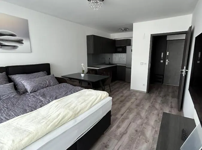 Bauhaus Dream Deluxe T Homestay Siofok